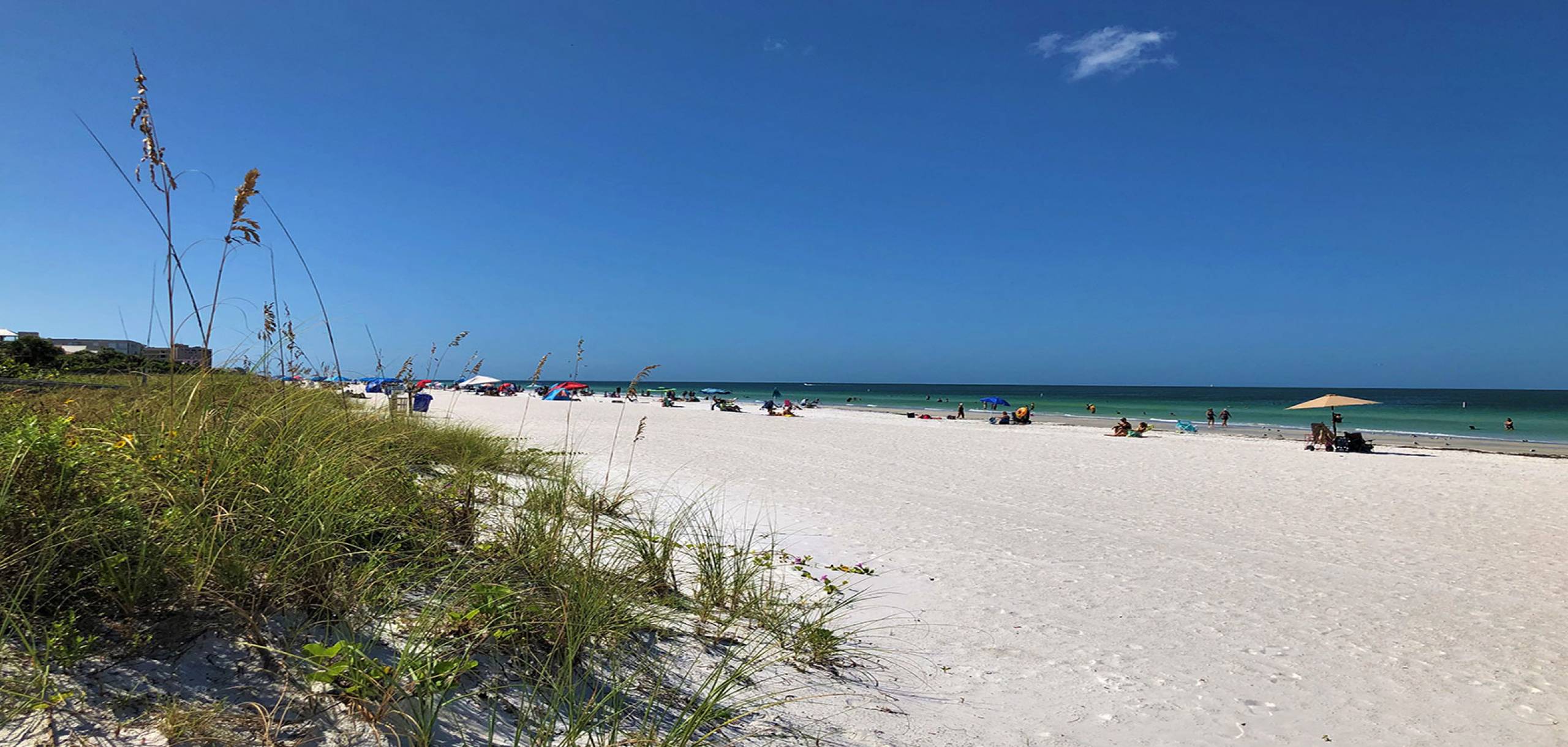 Sand Dunes at Beach | Long Key Vacation Rentals Sand Dunes at Beach | Long Key Vacation Rentals