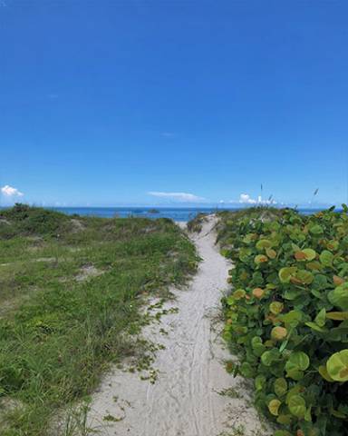Path towards Beach | Long Key Vacation Rentals Path towards Beach | Long Key Vacation Rentals